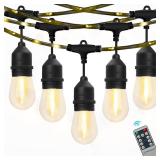48ft Westinghouse Warm White LED String Lights