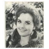 Gilligan's Island Dawn Wells signed photo