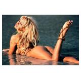Pamela Anderson reprint photo
