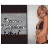 Donna D'Errico signed 'Baywatch' photo