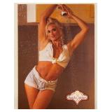 Erika Andersch Bench Warmer Swimsuit Models...