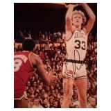 Boston Celtics Larry Bird signed photo