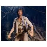 King Kong Adrien Brody signed photo