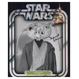Star Wars David Stone Signed Photo