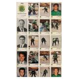 Anaheim Bullfrogs team signed mini poster