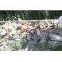 Deer Trail Moving & Estate Live Auction