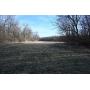 McDonough County, IL Land Auction-Kenneth Cole Living Trust