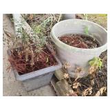 Estate Lot of Plastic Flower Pots