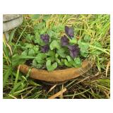 Lot of 2 Foam Planters