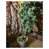 Very heavy concrete planter with faux tree