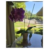 Porcelain pot with a flower