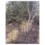 Green Iron outdoor hanger