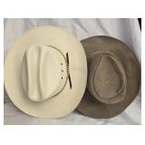 Lot of 2 hats