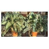 Lot of 2 Decorative Faux Plants