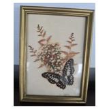 Framed butterfly decor