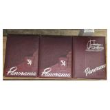 Lot of 1954 & 1956 Panorama Yearbooks