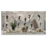 Awesome Vintage Acrylic sea horse display