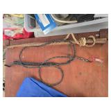 Lot of 2 whips