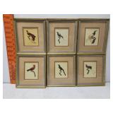 6 pc set of framed fabric bird prints