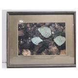 Wood framed leaf photograph