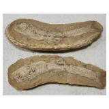 RARE find!!! 2 piece fossil artifacts!!! See des