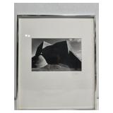 Signed Mike Tatem Photograph