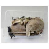 Plastic container w beach shells etc