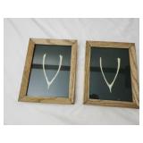 Set of 2 framed  turkey wish bones