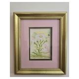 Framed watercolor daisy