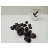 Lot of 17 Buckeyes w cup