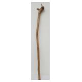 Walking stick