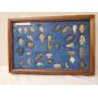 APX 20 native arrowhead artifacts with case 198
