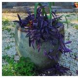 Large outdoor pot with floral piece