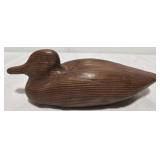 California redwood duck