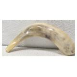 Animal Horn