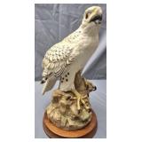 Gyrfalcon by Andrea