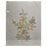 Moran 'Celandine' Lithograph