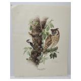 Don Whitlatch 'Long-eared Owl' print ***
