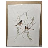 Signed 'Baltimore Orioles' by Moran 43/300