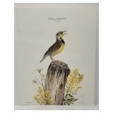 Don Whitlatch 'Eastern Meadowlark' print ***