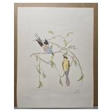 Signed 'Swallow-Tailed Indian Roller' by Moran