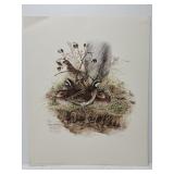Don Whitlatch 'Long-eared Owl' print ***