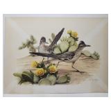 Roger Tory Peterson 'Roadrunner' print **