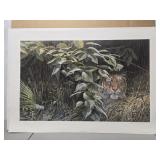 Signed 'The Rains - tiger' by Seerey Lester 39/950