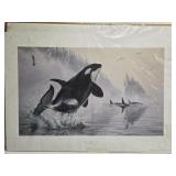 Signed Lee Kromschroeder Whale Print 16 of 950
