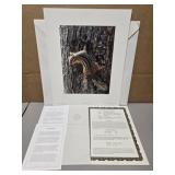 Signed 'Narrow Escape- Chipmunk' by Carl Brenders