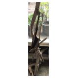 Decorative Drift Wood