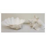 2 shell decorative shells