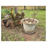 Lot of flower pots