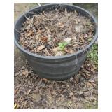 Large barrel look planter
